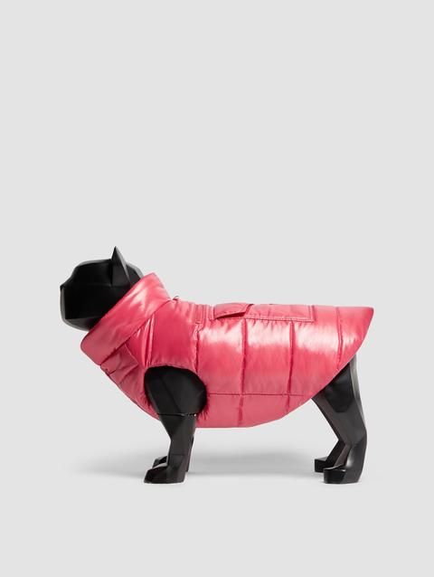 Padded Dog Vest Gender Neutral Bright Pink Moncler