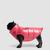 Padded Dog Vest Gender Neutral Bright Pink Moncler