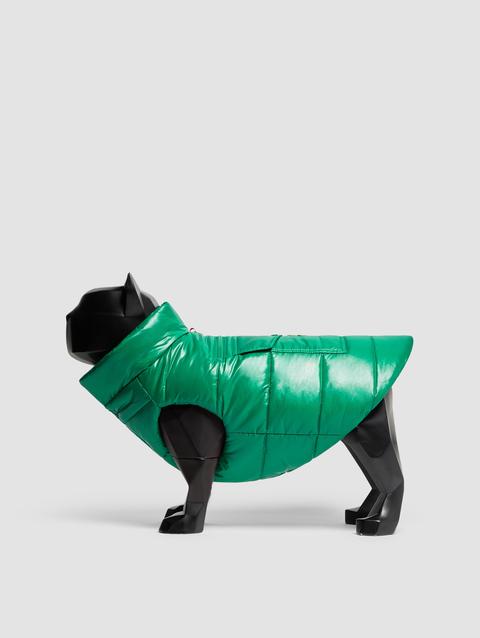 Padded Dog Vest Gender Neutral Emerald Green Moncler