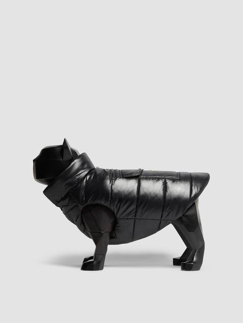 Padded Dog Vest Gender Neutral Black Moncler