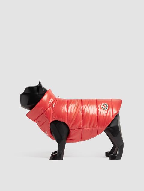 Padded Dog Vest Gender Neutral Red Moncler