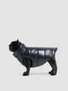 Padded Dog Vest Gender Neutral Royal Blue Moncler