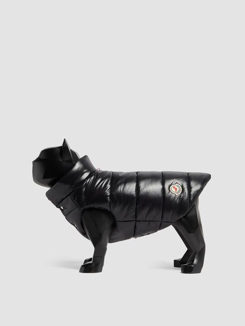 Padded Dog Vest Gender Neutral Black Moncler